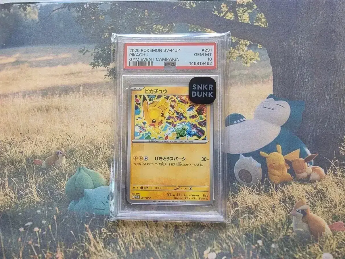 PSA10] 2025 SV-P 프로모 #291 피카츄 | 브랜드 중고거래 플랫폼, 번개장터